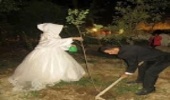  کاشت 120 درخت! +عکس