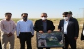 بازدید مدیرکل منابع طبیعی و آبخیزداری استان و مسئولان محلی از طرحهای مقابله با بیابانزایی شهرستان تنگستان