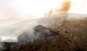 اتش سوزی در مراتع خائیز تنگستان 