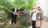 غرس نهال توسط معاون قضایی دادگستری استان بوشهر بمناسبت آغار هفته منابع طبیعی 