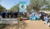 جشن درختکاری در پارک جنگلی سرکره دشتستان برگزار شد