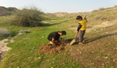 طرح مردمی کاشت نهال در روستای بویری 