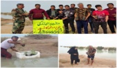 کاشت نهال حرا در سواحل دلوار شهرستان تنگستان