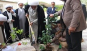 روز درختکاری در بوشهر/ کاشت نهال توسط نماینده ولی فقیه 