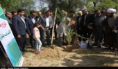 آیین درختکاری 15 اسفند در پارک جنگلی چاهکوتاه بوشهر