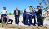 آیین کاشت نهال در دانشکده پسرانه فنی و حرفه ای امام خامنه ای بوشهر