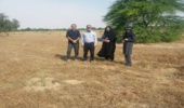بازدید از جنگلکاری مشارکتی طرح کاشت یک میلیارد درخت واقع در کانون فرسایش بادی گندم ریز