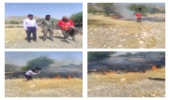مهار آتش سوزی در پارک جنگلی چاه چاهو دشتی
