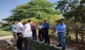 بازدید معاون مرکز جنگلهای خارج از شمال سازمان منابع طبیعی و آبخیزداری کشور از اجرای طرح مردمی کاشت یک میلیارد درخت در شهرستان بوشهر