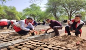   مشارکت جمعیت هلال احمر در اجرای طرح مردمی  کاشت یک میلیارد درخت