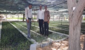 بازدید دکتر کلبی رئیس اداره جنگل و مهندس حاجیلو دبیر ستاد مردمی کاشت یک میلیارد نهال در استان از نهالستان بردخون