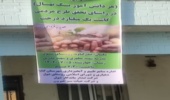 پویش «هر دانش آموز یک نهال» به مناسبت شروع سال تحصیلی جدید در شهرستان گناوه