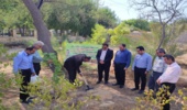 غرس نهال توسط مدیرکل و جمعی از کارکنان منابع طبیعی و آبخیزداری استان و شهرستان بوشهر به مناسبت میلاد با سعادت پیامبر اکرم (ص ) و امام جعفر صادق (ع)