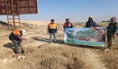 کاشت نهال توسط اداره راهداری و حمل و نقل جاده ای شهرستان دیر