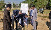 آغاز رسمی کاشت درخت در طرح مردمی کاشت یک میلیارد درخت در استان بوشهر