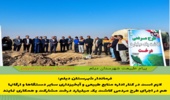 فرماندار شهرستان دیلم اعضای شورای اداری را برای همکاری و اجرای طرح مردمی کاشت یک میلیارد درخت به خط کرد.