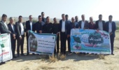 کاشت یکصد اصله نهال در اراضی ملی روستای سراج آباد شهرستان دشتستان