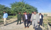 بازدیدفرماندار شهرستان دشتی  از نهالستان  منابع طبیعی   