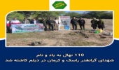 کاشت 110 نهال به نام و یاد شهدای راسک و کرمان در شهرستان دیلم 