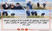  استاندار بوشهر از کاشت ۴.۵ میلیون اصله نهال حرا در استان بوشهر تا پایان سال خبر داد