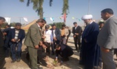 کاشت درخت به مناسبت آغاز هفته منابع طبیعی و روز درختکاری در شهرستان دشتی 
