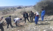 کاشت نهال در منطقه عملیاتی نار و کنگان واقع در شهرستان جم