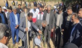 پویش کاشت نهال به مناسبت ولادت باسعادت حضرت فاطمه زهرا(س) و تکریم و گرامیداشت مقام مادر و روز زن در استان بوشهر  همرمان با سراسر کشور پویش درختکاری در