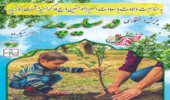 پویش سراسری نهال کاری درسایه پدر 