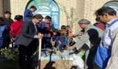 آموزش و کاشت نهال در مدرسه حضرت قائم (عج) شهرستان جم