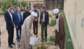 نماینده ولی فقیه در استان و امام جمعه بوشهر در روز درختکاری اقدام به کاشت دو اصله درخت نمود