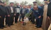 برگزاری پویش درختکاری جان ایران در پارک جنگلی چاهکوتاه با حضور استاندار بوشهر