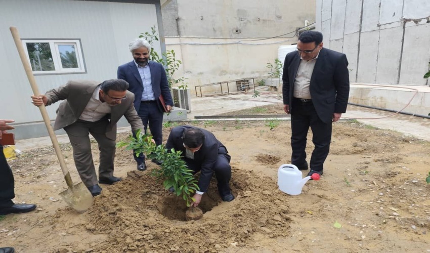 در راستای بزرگداشت هفته منابع طبیعی و آبخیزداری رئیس کل دادگستری استان بوشهر اقدام به کاشت درخت نمود.