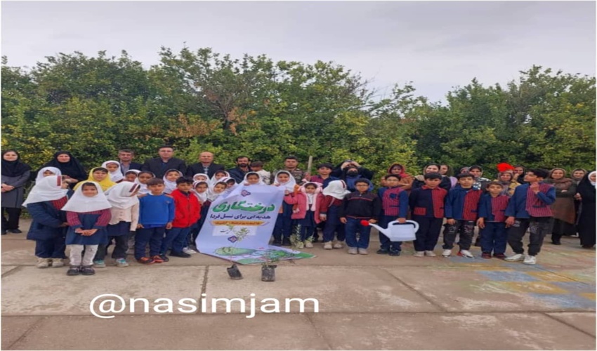 احکام سبز جایگزین مجازات حبس در شهرستان جم