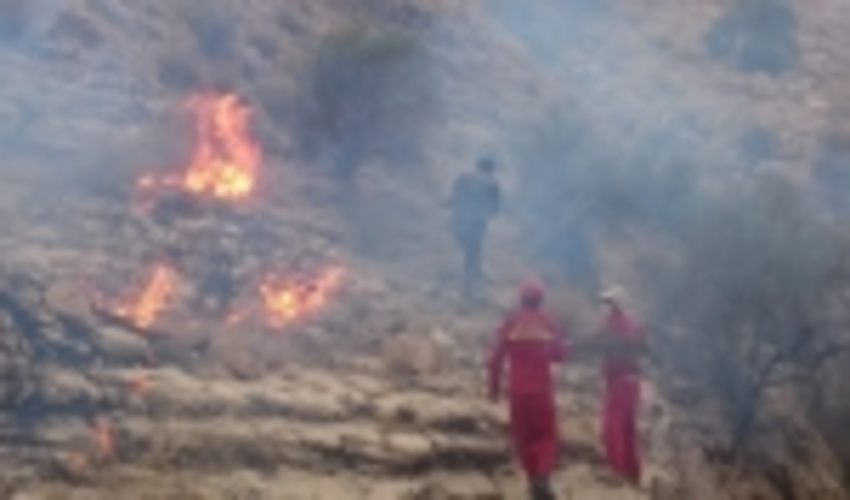 کاهش ۹۴ درصدی آتش‌سوزی در منابع طبیعی استان