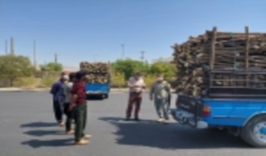 کشف و توقیف دو  دستگاه خودرو حامل چوب غیر مجاز در شهرستان جم   