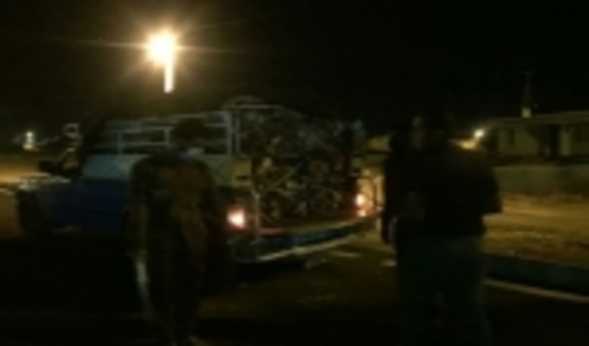 توقیف یک دستگاه خودرو نیسان حامل چوب غیر مجاز در بخش بوشکان 