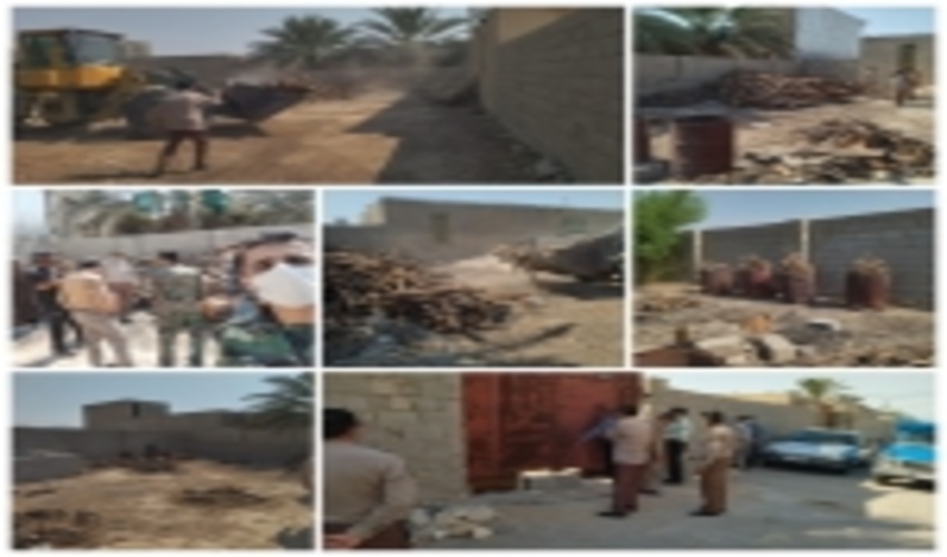 کشف قاچاق چوب در شهرستان دشتی