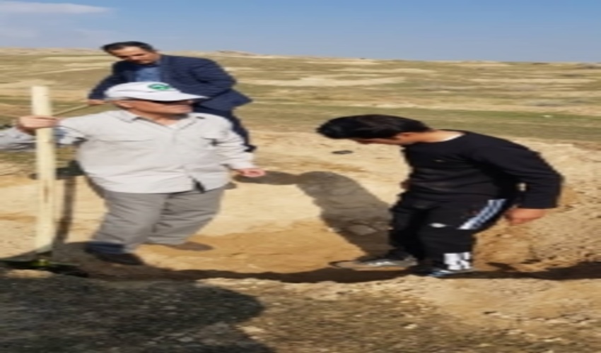 نهضت درختکاری با کاشت ۱۴میلیون اصله نهال در کشور