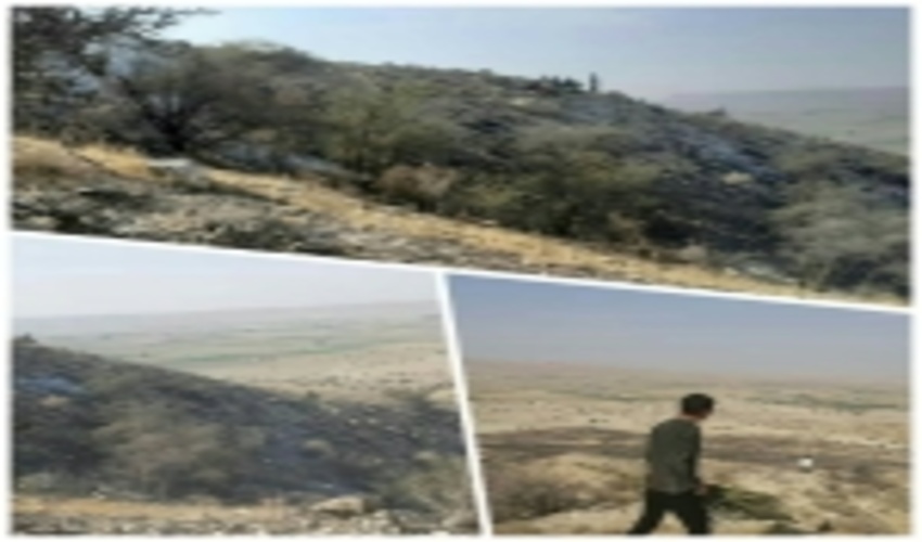 مهار آتش‌سوزی در اراضی ملی بخش بوشکان