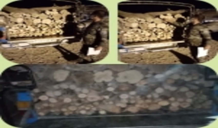 توقیف ۳ دستگاه نیسان حامل چوب غیرمجاز در خروجی جاده اهرم به فراشبند.