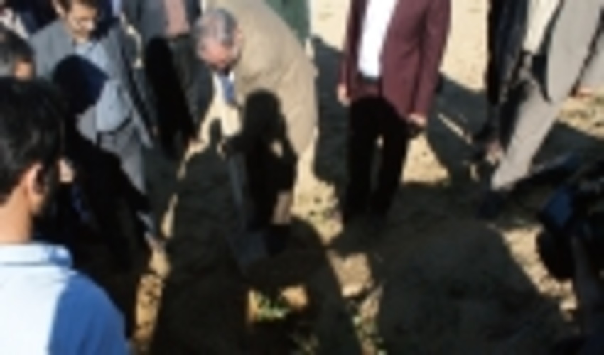 طرح ملی جنگلانه در شهرستان های 10گانه استان بوشهر 