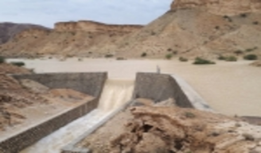           19 پروژه منابع طبیعی وآبخیزداری در هفته دولت افتتاح می‌شود     