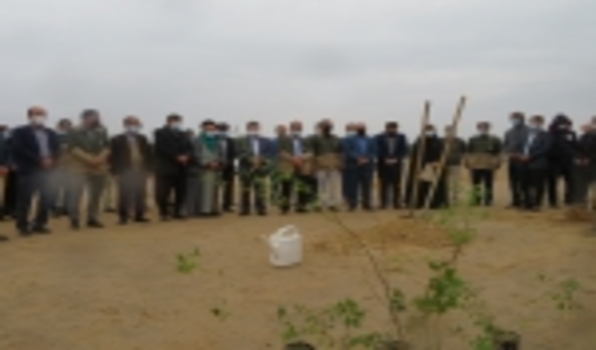 پویش ایرانی سرسبز با عنوان "هر ایرانی یک درخت" در استان بوشهر آغاز شد