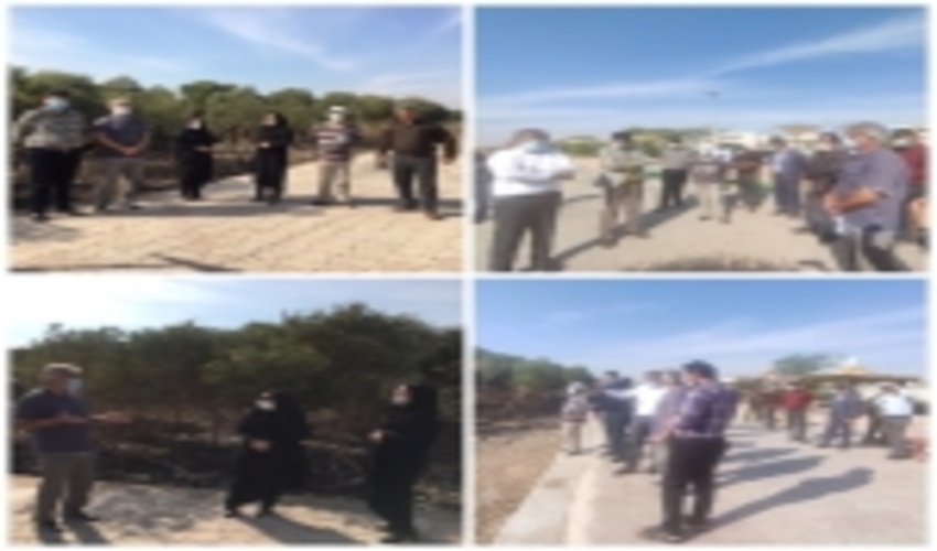 بازدید دکتر میرزایی و مهندس محمدی از دفتر جنگل سازمان از پروژه های جنگل کاری استان بوشهر 