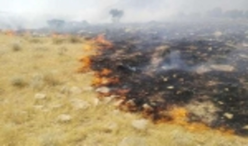  روشن کردن آتش در مراتع استان بوشهر ممنوع شد