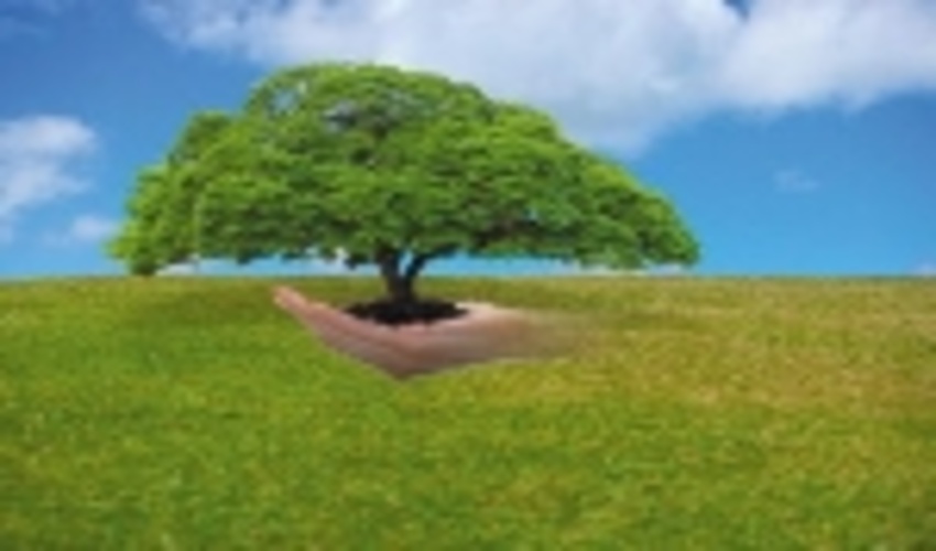  اخلاق طبیعت گردی در بین همنوعان رعایت شود