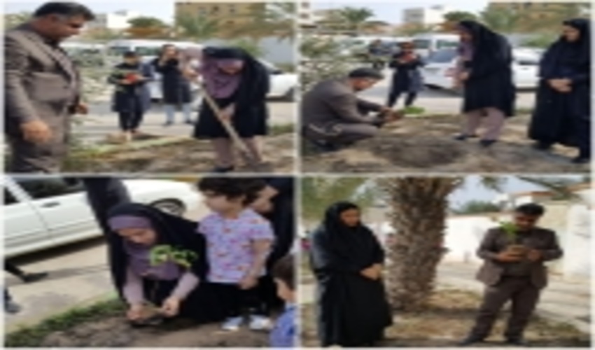 ترویج فرهنگ درختکاری در جامعه بسیار ضروری است