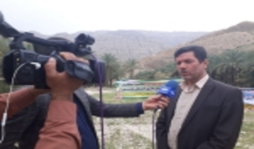 تولید و کاشت بیش از ۷۰ هزار اصله نهال در شهرستان بوشهر