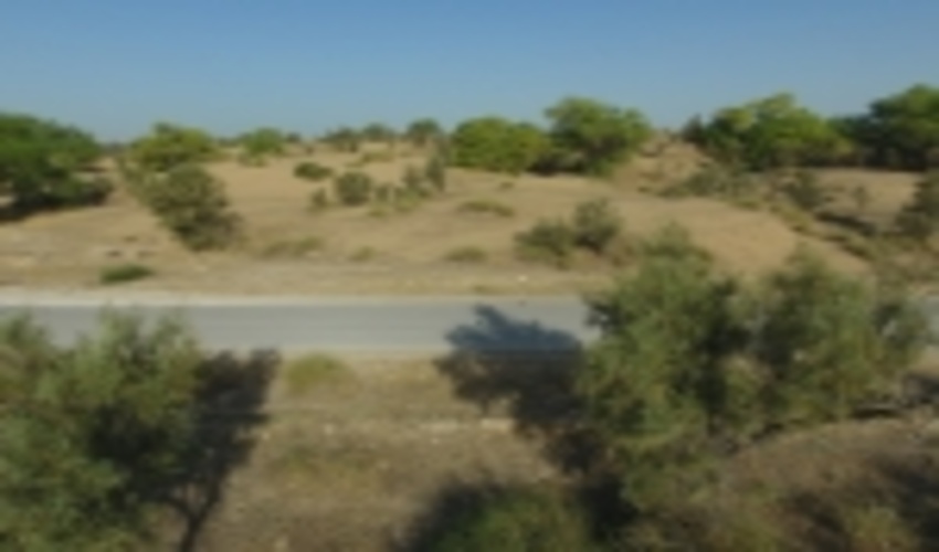 استان بوشهر دارای ۱۶ کانون فرسایش بادی است