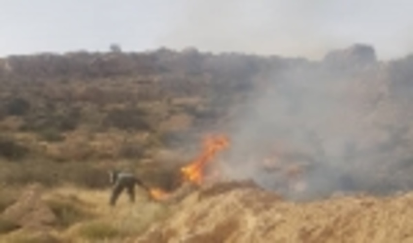 بالگرد برای مهار آتش سوزی دهرود دشتستان از شیراز اعزام شد